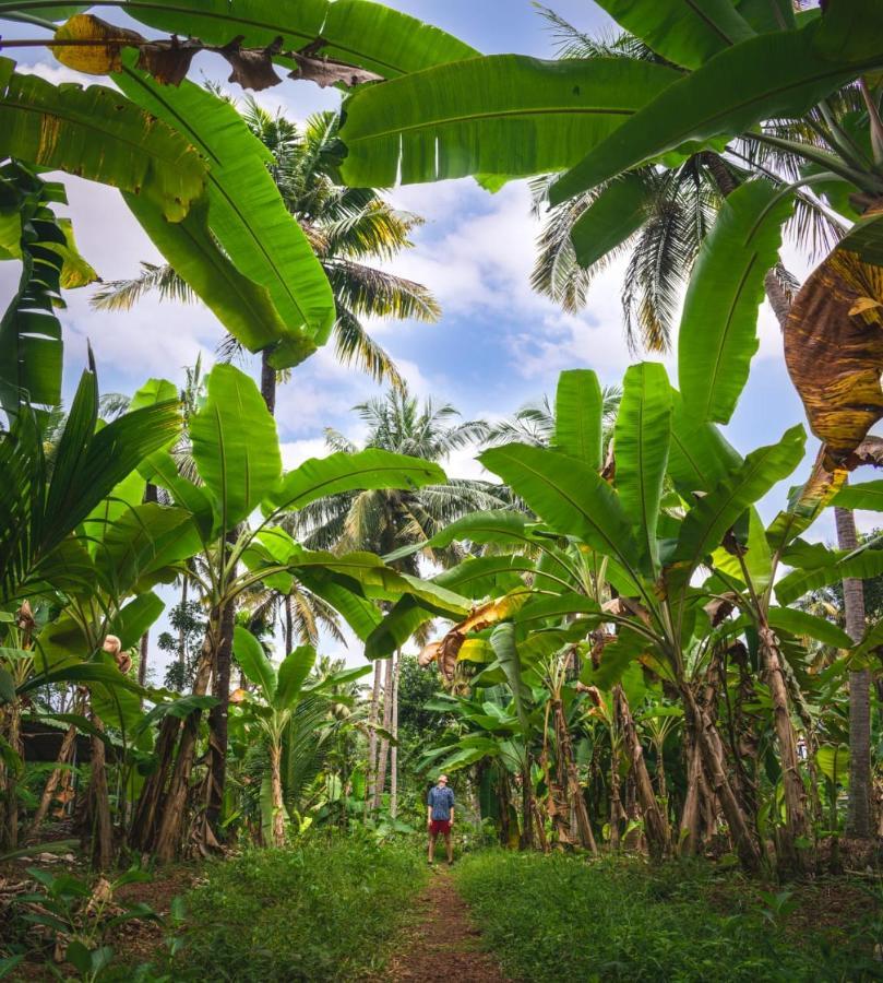 Secret Paradise Varkala Exterior photo